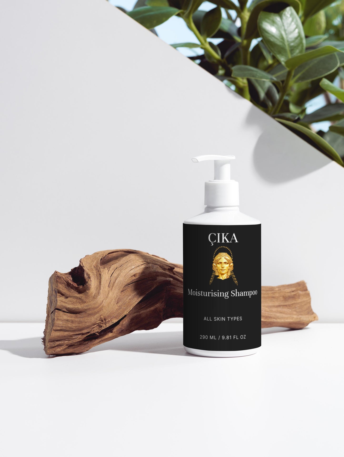 Shiny Hair Duo [ Available in EU, UK, USA, Canada & Australia Not yet available in Albania ]